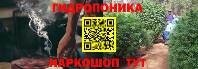 ПСИЛОЦИБИНОВЫЕ ГРИБЫ Ипатово